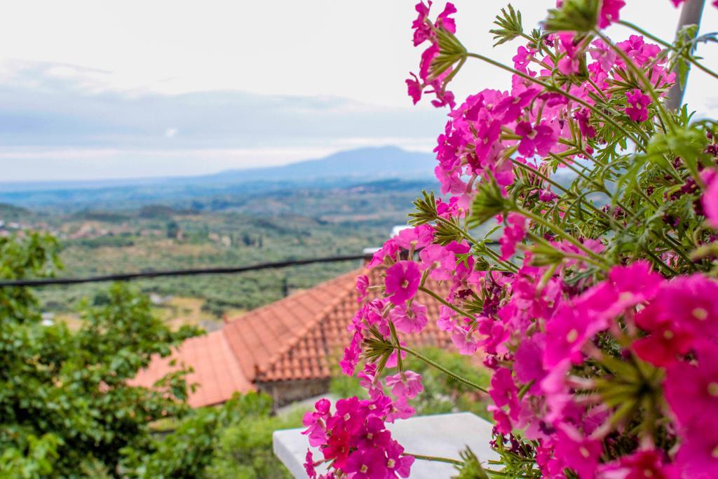 Guesthouse Lykourgos Mavrommátion エクステリア 写真